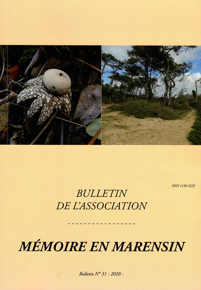 Bulletin Mémoire en Marensin n°31