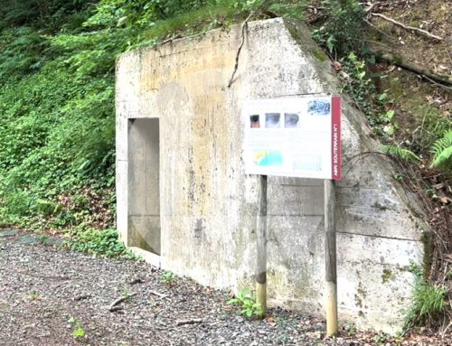 Parcours patrimonial bunkers