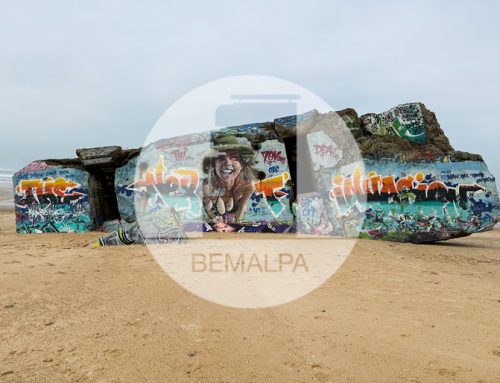 Blockhaus Capbreton