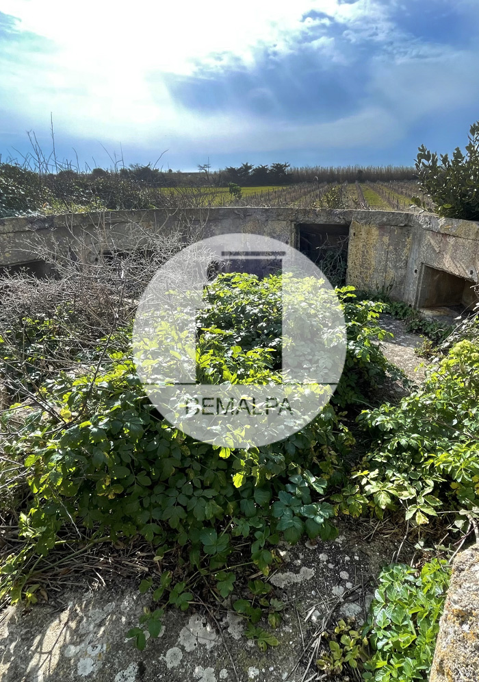 Batterie Seelöwe Ile d'Oléron Mur Atlantique bunkers Charente-Maritime