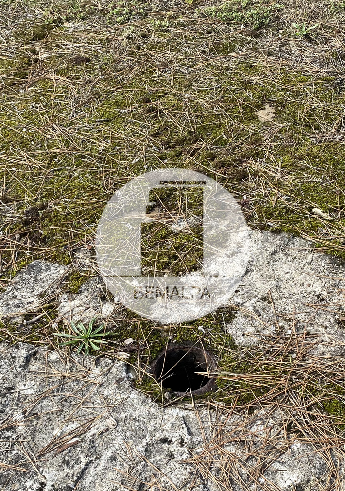 Bunkers Anglet Mur Atlantique à Anglet Côte-basque blockhaus du quartier Brise-lames d'Anglet