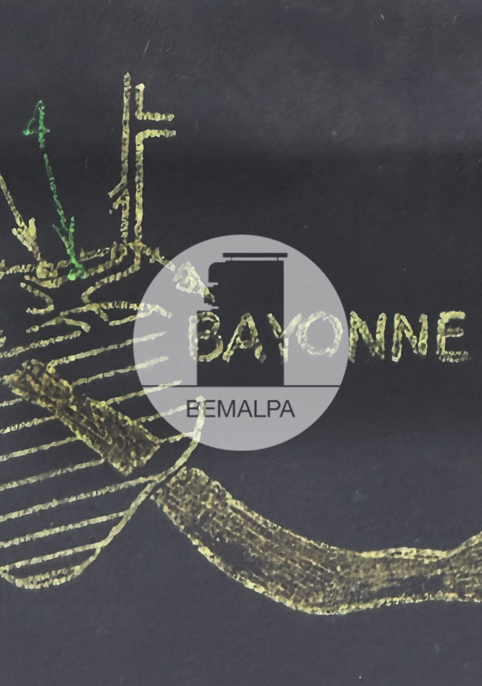 Bunkers Bayonne Mur Atlantique