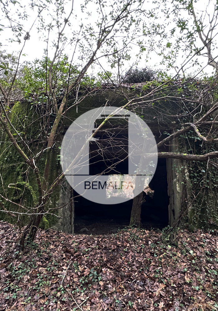 Bunker Labenne Mur Atlantique Labenne Océan blockhaus Marais Orx