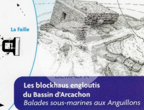 Plongée sous-marine sur les bunkers d&rsquo;Arcachon