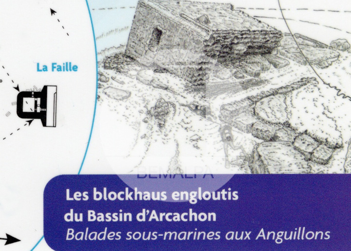 Plongée sous-marine sur les blockhaus engloutis du Bassin d'Arcachon
