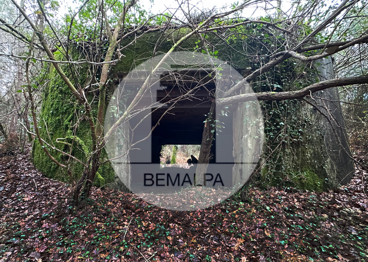 Un bunker du Mur de l'Atlantique à Labenne dans les Landes Regelbau R669